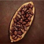 Czekolada Cookie mleczna orzech-kakao 290g Wedel  